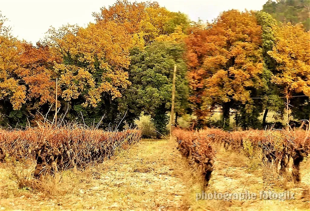 automne var