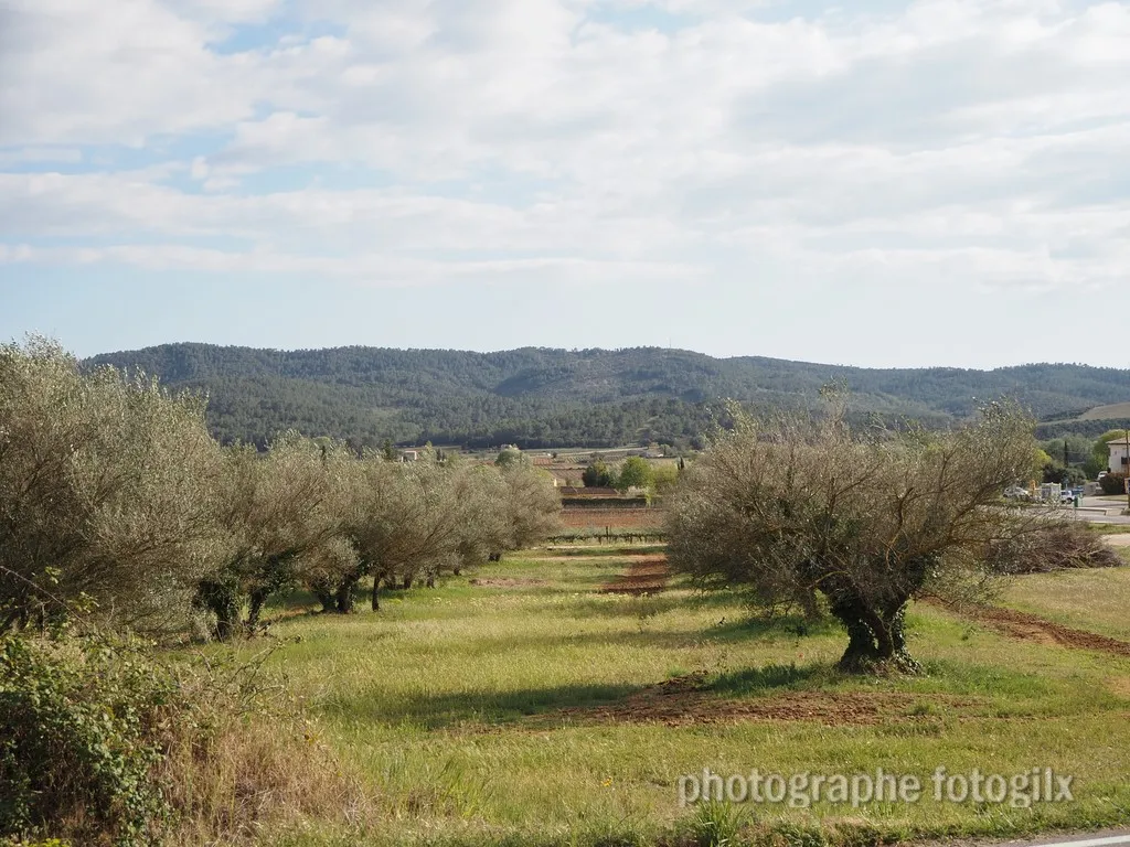 paysage var